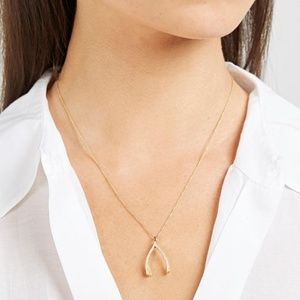 Rose Gold Crystal Silver Wishbone Pendant Necklace